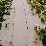 Harry With Private Parking זנדוורט